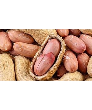 Peanuts