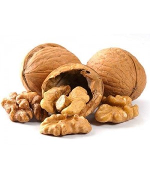 Walnut in Shell
